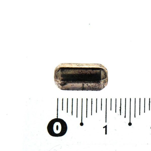 BRT 6 ESA L