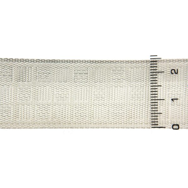 TS/SCC 25 - Image 2