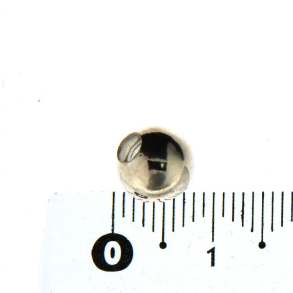 PLT 08