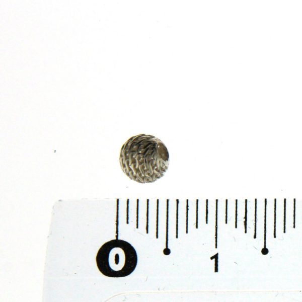 BDS 05
